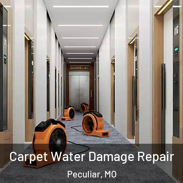  Carpet Water Damage Repair Peculiar, MO