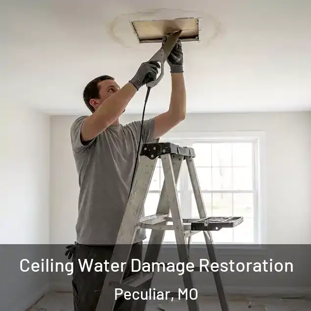  Ceiling Water Damage Restoration Peculiar, MO