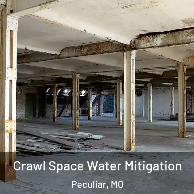  Crawl Space Water Mitigation Peculiar, MO