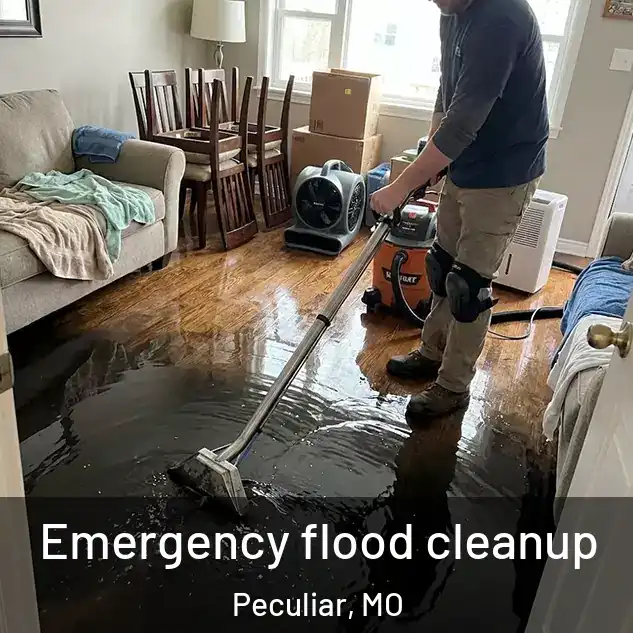  Emergency flood cleanup Peculiar, MO
