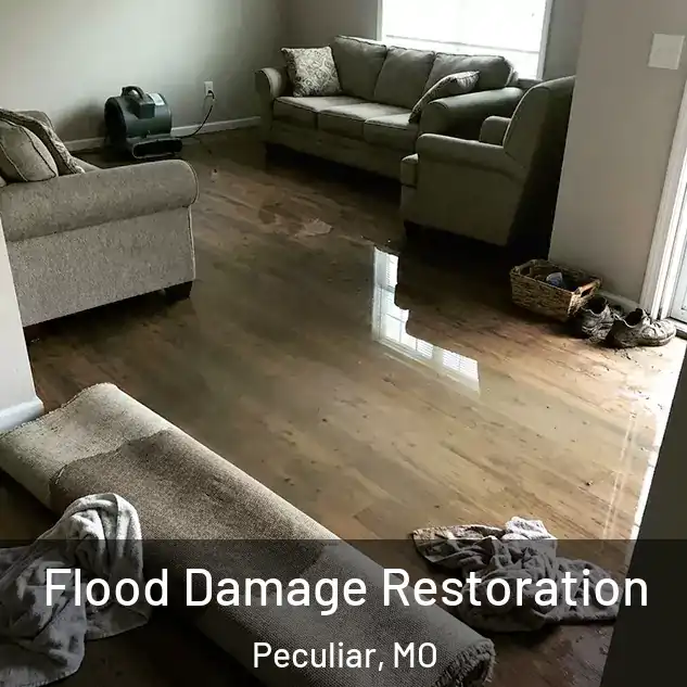  Flood Damage Restoration Peculiar, MO