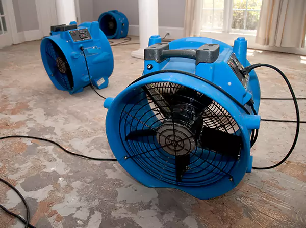 Water Damage Reconstruction in Peculiar