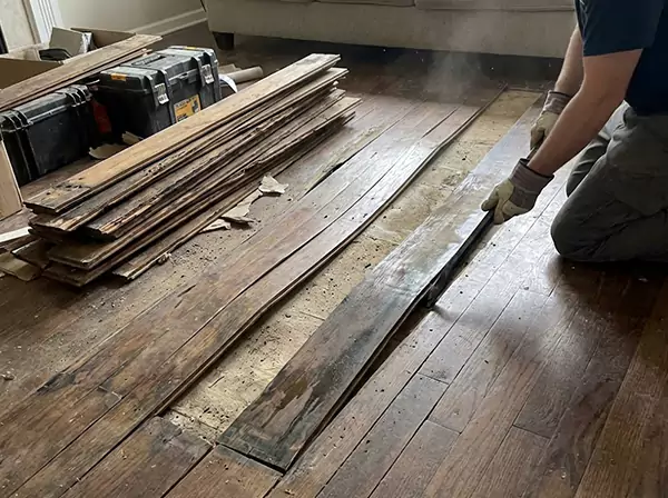 Water Damage Drying in Peculiar