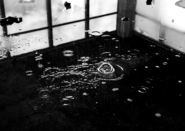 Your Contaminated Water Removal Specialists in Peculiar, MO