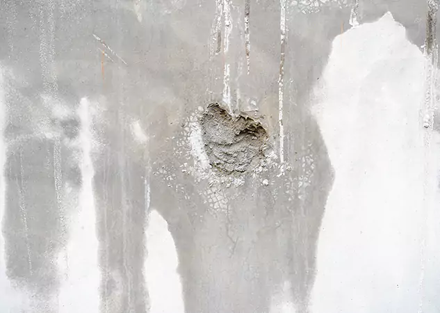 Your Mold Mitigation Solutions Partner in Peculiar, MO