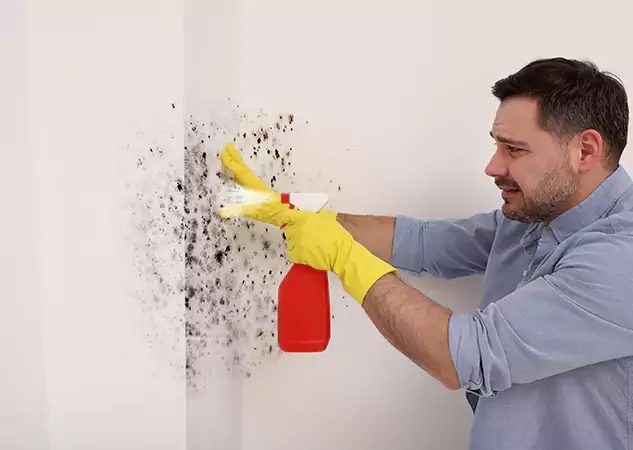 Your Water Mold Fire Restoration Partner in Peculiar, MO