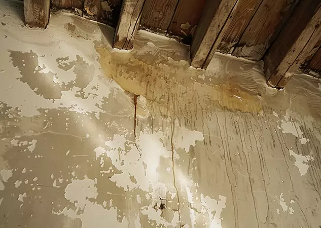 Your Trusted Restoration Company in Peculiar, MO