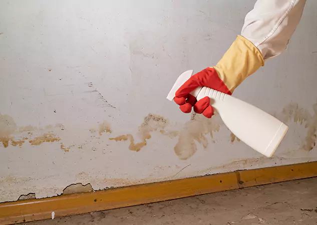 Your Water Restoration and Mold Remediation Specialists in Peculiar, MO