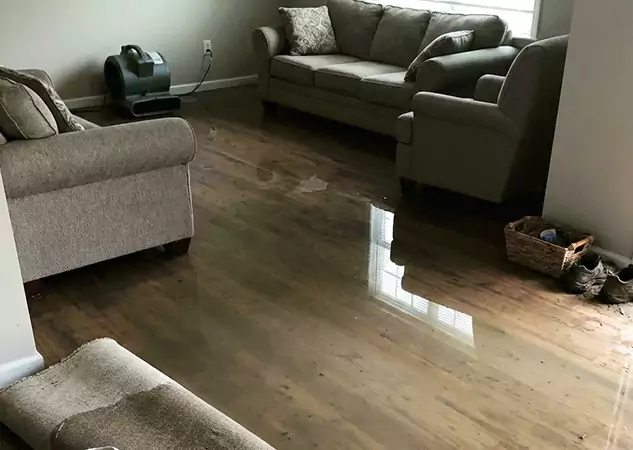 Your Trusted Restoration Company in Peculiar, MO