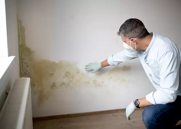 Reach Our Remediation Team Before Damage Grows in Peculiar, MO!