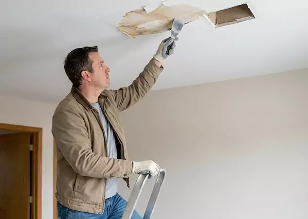Your Ceiling Damage Repair Experts in Peculiar, MO