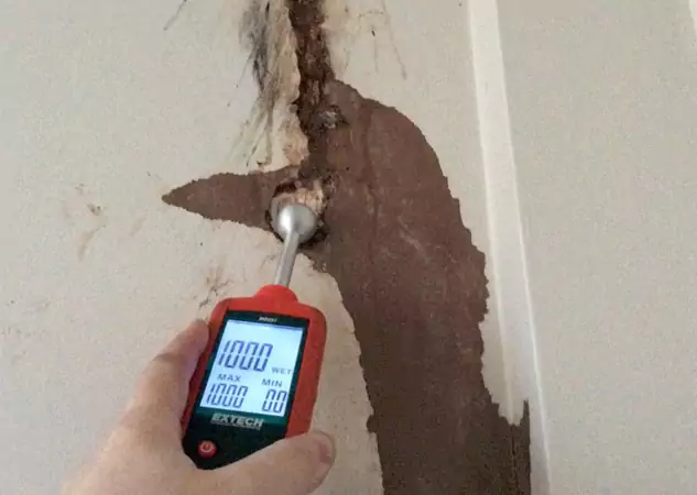 Your Water Damage Assessment Partner in Peculiar, MO