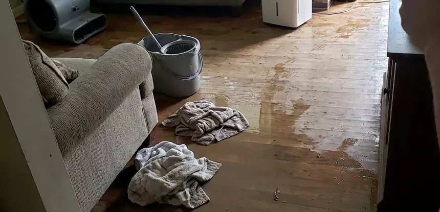 Professional Basement Water Remediation Services in Peculiar, MO