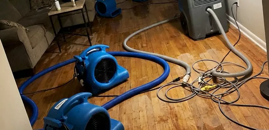 Basement Flood Restoration Services in Peculiar