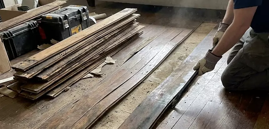 Wood Rot and Fungus Repair in Peculiar