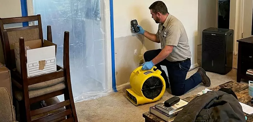 Carpet Water Damage Repair Peculiar
