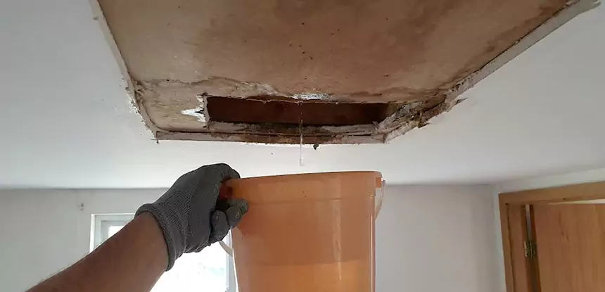 Ceiling Mold Repair Peculiar