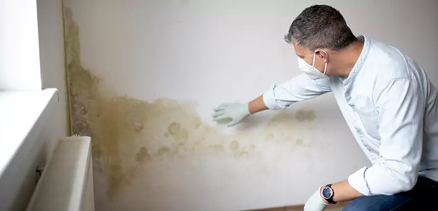 Mold and Water Damage Repair in Peculiar