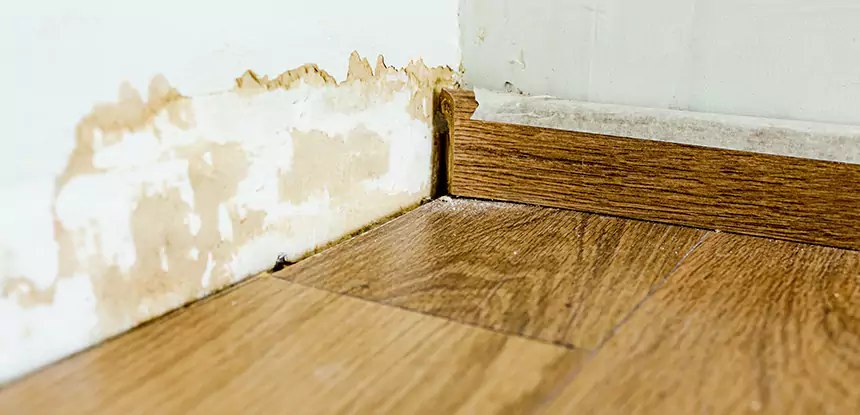 Professional Fix Water Damaged Wood Services in Peculiar, MO