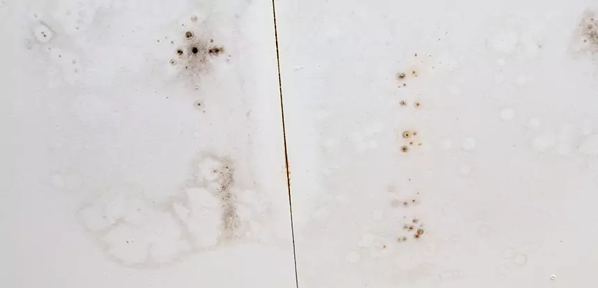 Professional Water Stain Repair Services in Peculiar, MO