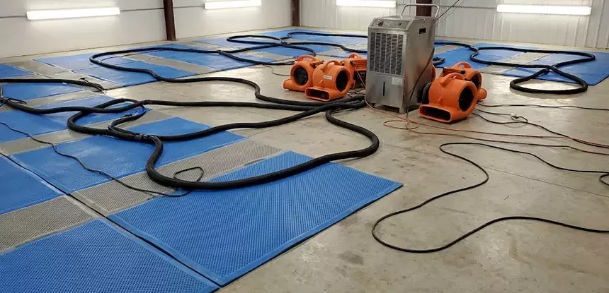 Professional Flooded Carpet Drying Services in Peculiar, MO