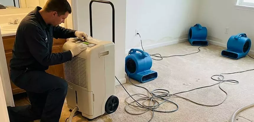 Professional Wet Carpet Removal Services in Peculiar, MO