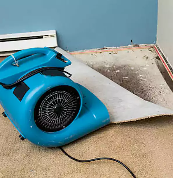 Why Peculiar Trusts Peculiar Restoration Pro for Carpet Flood Recovery?