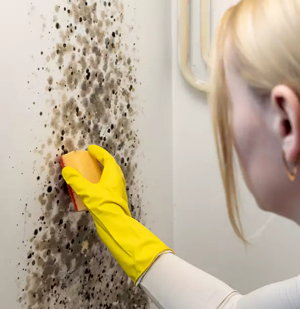 Why Peculiar Restoration Pro Leads Mold Remediation in Peculiar?