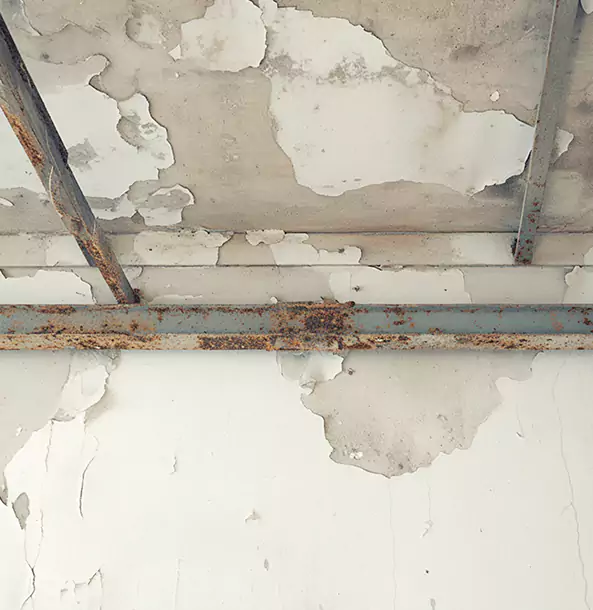Why Peculiar Restoration Pro Is the Right Choice in Peculiar, MO?