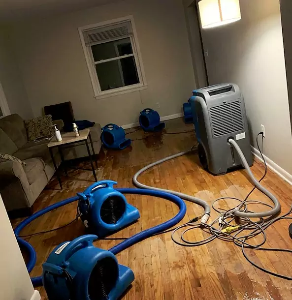 Why Peculiar Property Owners Rely on Peculiar Restoration Pro for Remediation?