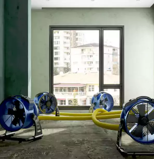 Why Peculiar Property Owners Trust Peculiar Restoration Pro for Water Damage Drying?