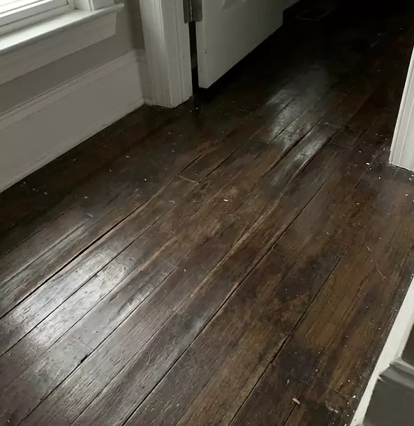 Why Peculiar Homeowners Trust Peculiar Restoration Pro to Fix Water Damaged Wood?