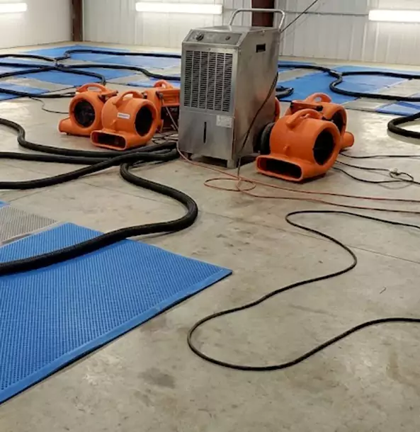Why Peculiar Homeowners and Businesses Choose Peculiar Restoration Pro for Wet Carpet Removal?
