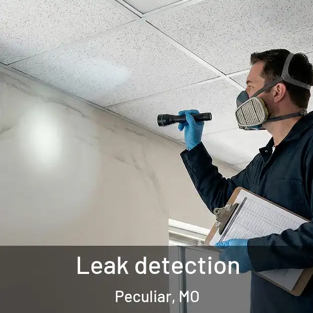  Leak detection Peculiar, MO