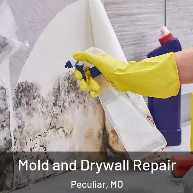  Mold and Drywall Repair Peculiar, MO