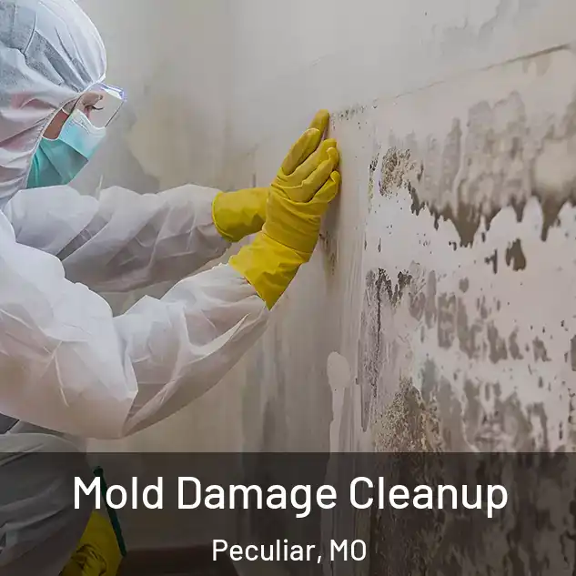  Mold Damage Cleanup Peculiar, MO