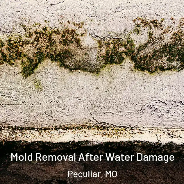  Mold Removal After Water Damage Peculiar, MO