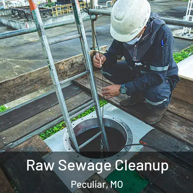  Raw Sewage Cleanup Peculiar, MO