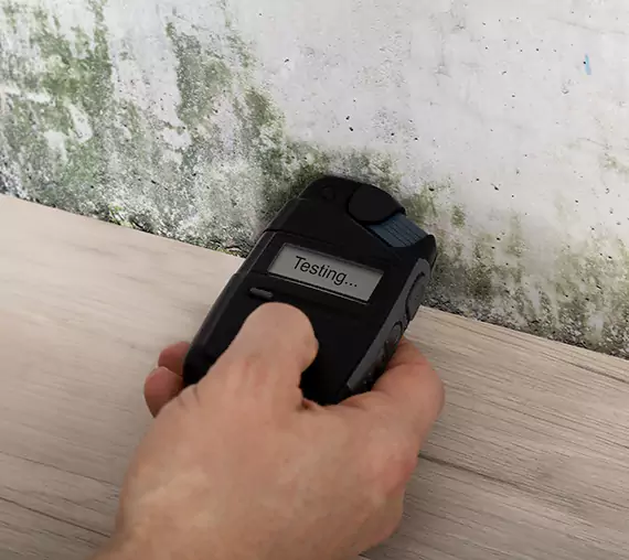 Mold Remediation Service Peculiar