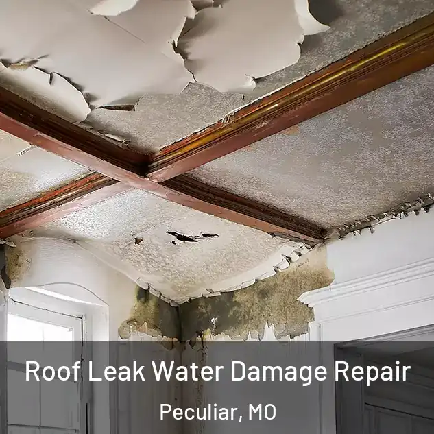  Roof Leak Water Damage Repair Peculiar, MO