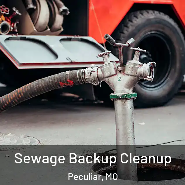  Sewage Backup Cleanup Peculiar, MO