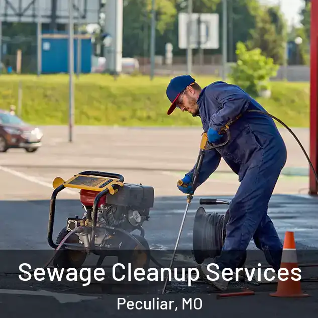  Sewage Cleanup Services Peculiar, MO