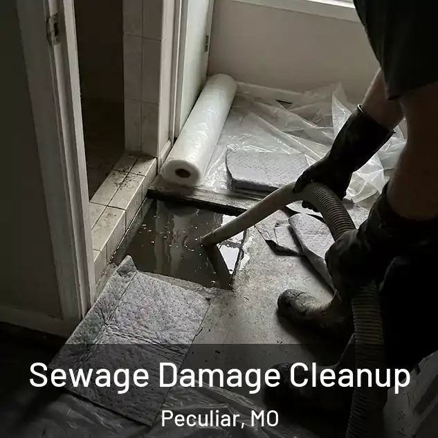  Sewage Damage Cleanup Peculiar, MO