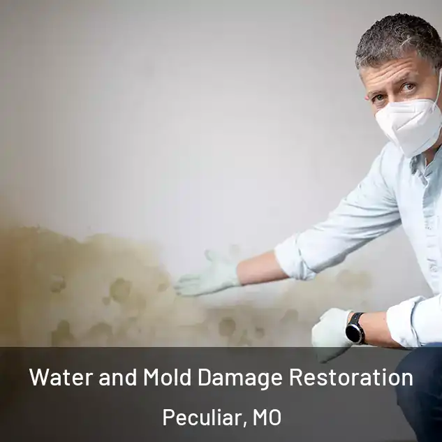  Water and Mold Damage Restoration Peculiar, MO