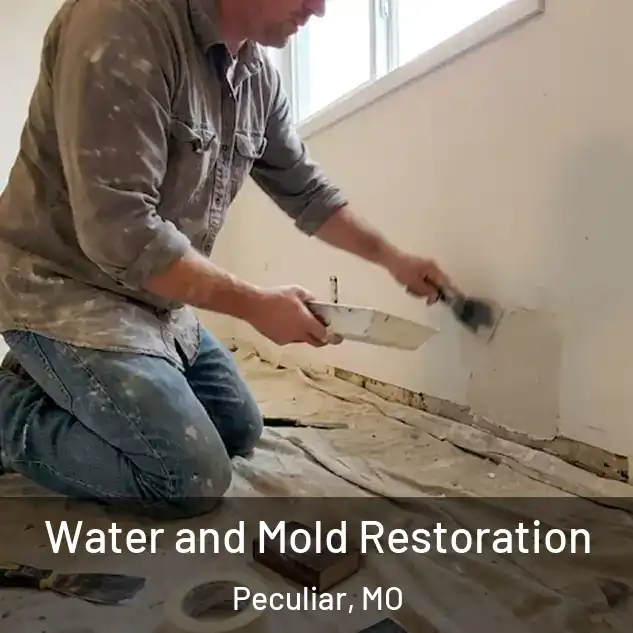  Water and Mold Restoration Peculiar, MO