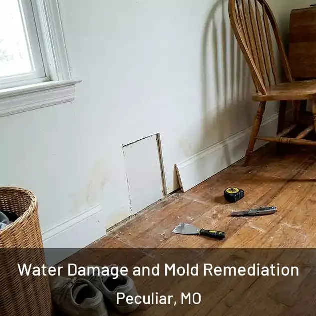  Water Damage and Mold Remediation Peculiar, MO