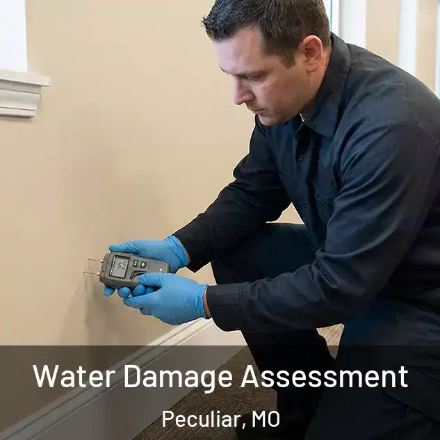  Water Damage Assessment Peculiar, MO