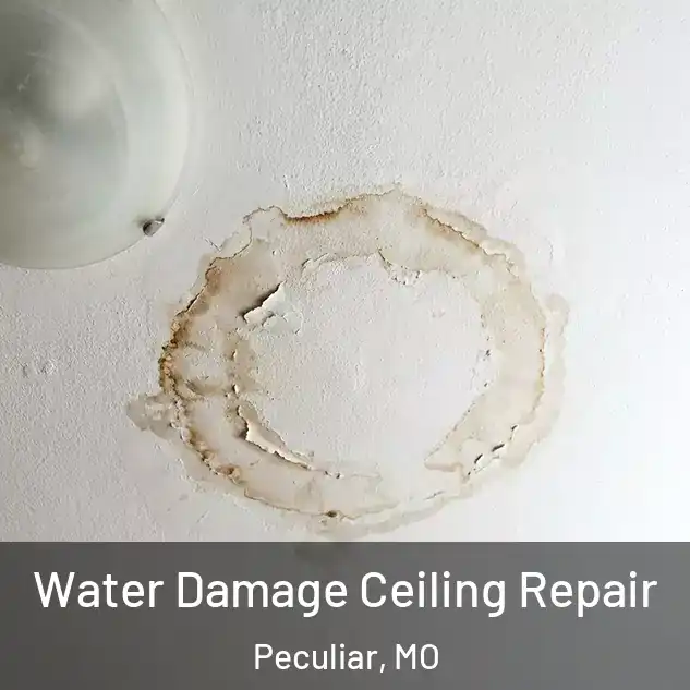  Water Damage Ceiling Repair Peculiar, MO