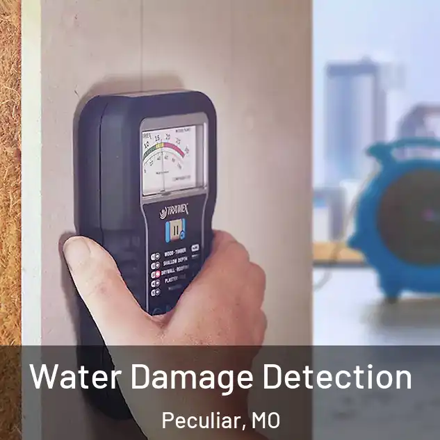  Water Damage Detection Peculiar, MO