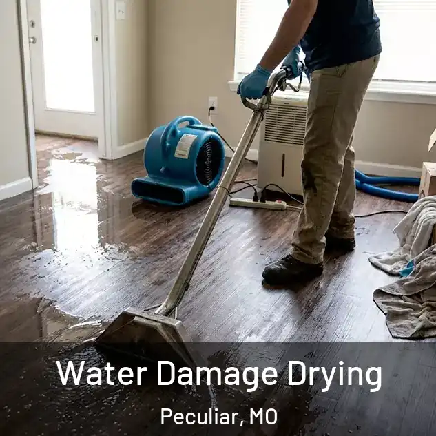  Water Damage Drying Peculiar, MO